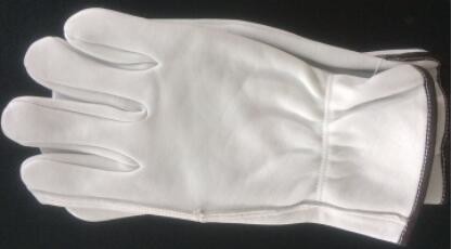 Quality Hb - 20 Farm Beekeeping Gloves Abrasion Resistant Full Sizes No Lining for sale