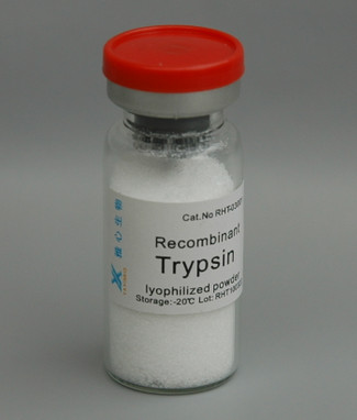Quality Cell Dissociation Solution, Recombinant Trypsin, Expressed in E.coli, For Cell Fermentation for sale