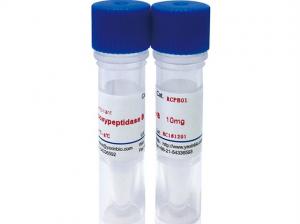 Quality Recombinant Carboxypeptidase B, ≥170 USP Units/Mg Pro. for sale