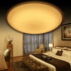 Quality High Brightness Round Ceiling Lamp ,  6 - Level CCT Dimmable Round White Ceiling Light for sale