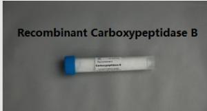 Quality Recombinant Enzyme Carboxypeptidase B for Mass Spectrometry with 170u / mg pro. for sale