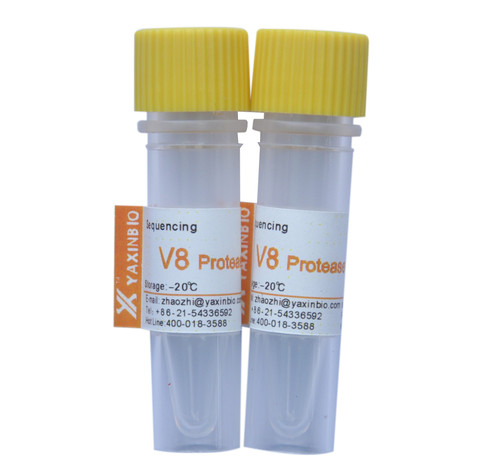 Quality CAS 66676-43-5 Sequencing Grade Staphylococcus Aureus V8 Protease for sale