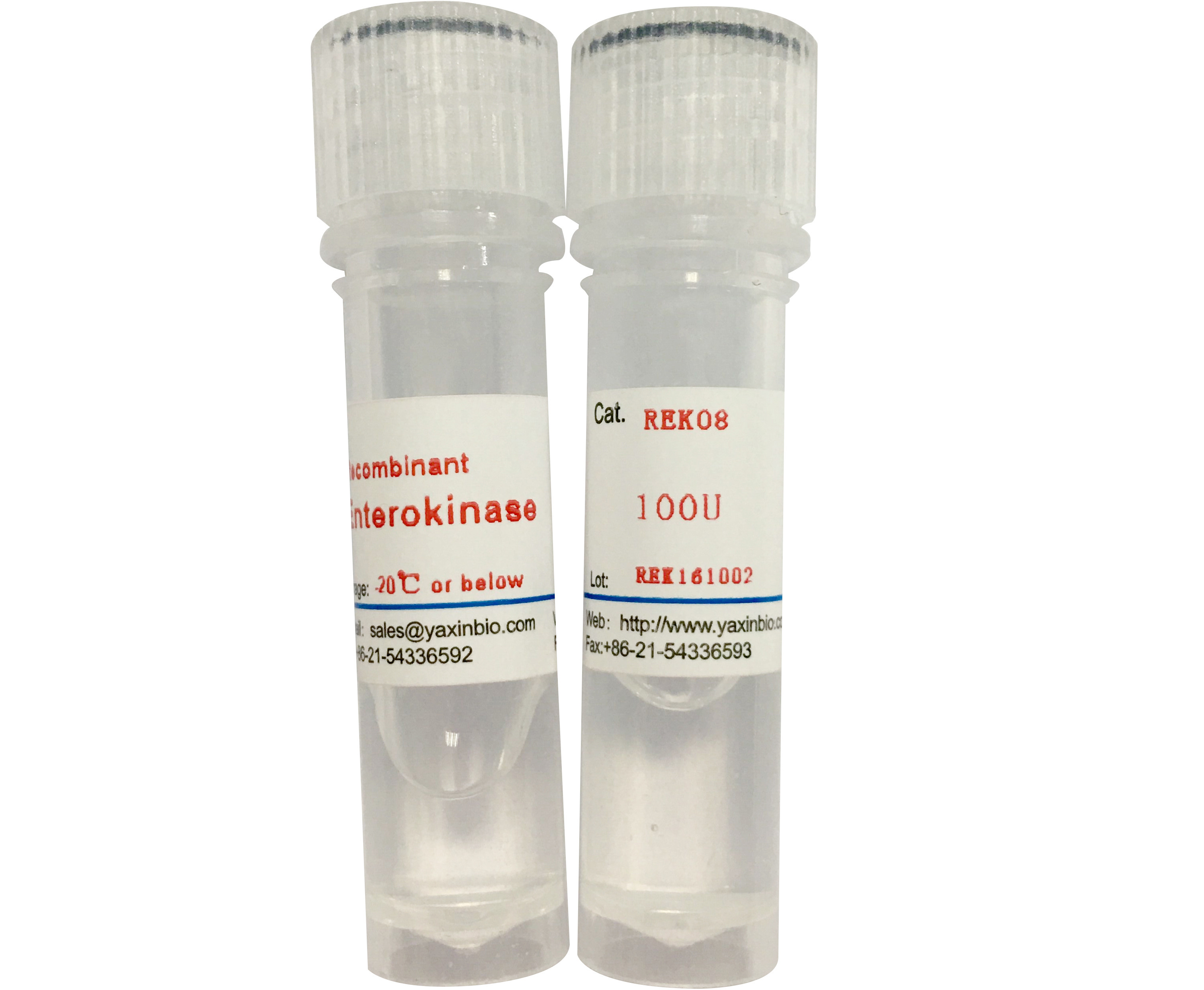 Quality 9017-74-8 Recombinant Enterokinase , High Purified Recombinant Bovine Enterokinase Light Chain for sale
