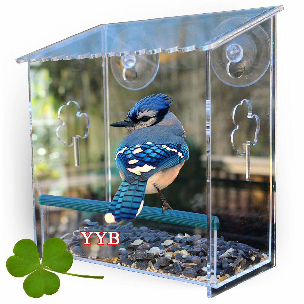 Quality Wholesale bird cage with Drainage Holes & Beautiful Packaging for sale