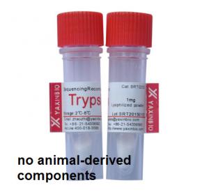 Quality Sequencing Grade Recombinant Trypsin, for in-gel Protein Digestion by Shanghai YaxinBio for sale