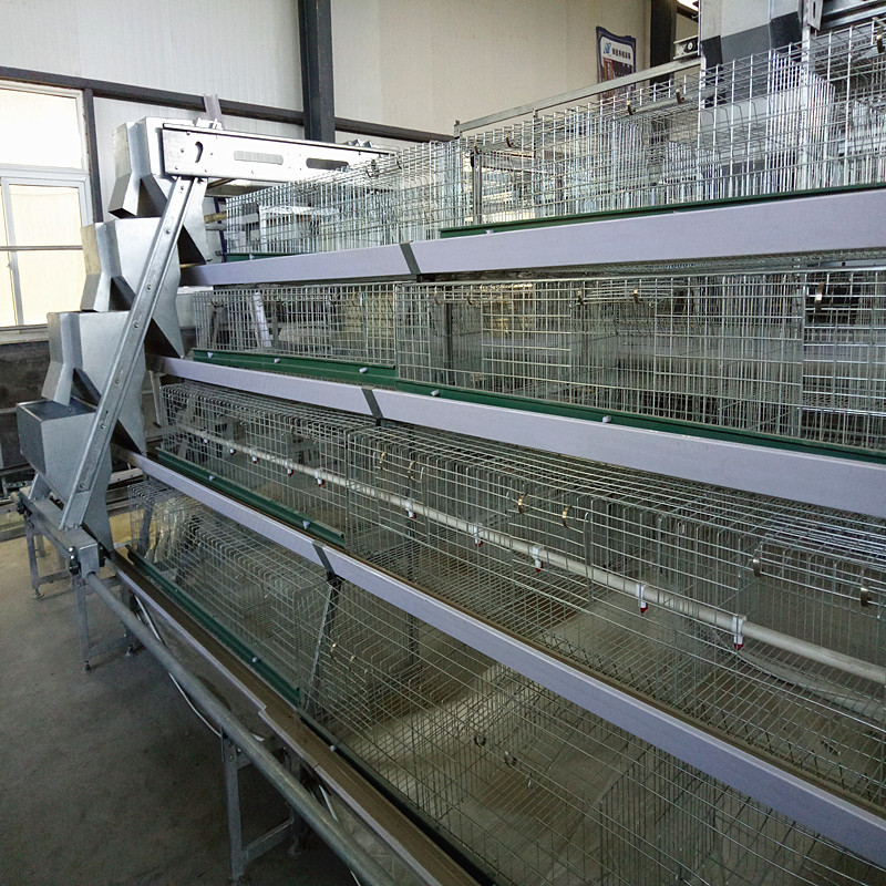 Quality Poultry House Layer 180 / 240 Baby Chick Cage A Type With Feeders for sale