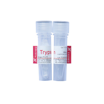Quality Sequencing Grade Trypsin, Digestion of Protein and Polypeptide for sale