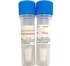 Quality Recombinant Carboxypeptidase B, Proteomics Grade, Enzyme purity 200U/mg Pro. for sale