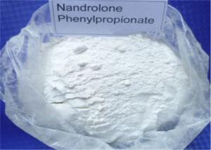Quality CAS 62-90-8 Nandrolone Phenylpropionate Powder For Weight Loss Medical Grade for sale