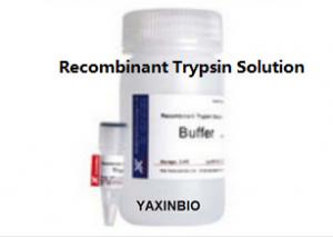 Quality High Purity Recombinant Trypsin Solution 1/2500 for Cell Separation for sale