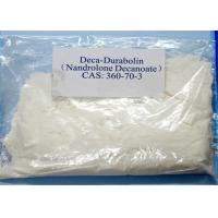 Nandrolone decanoate definition