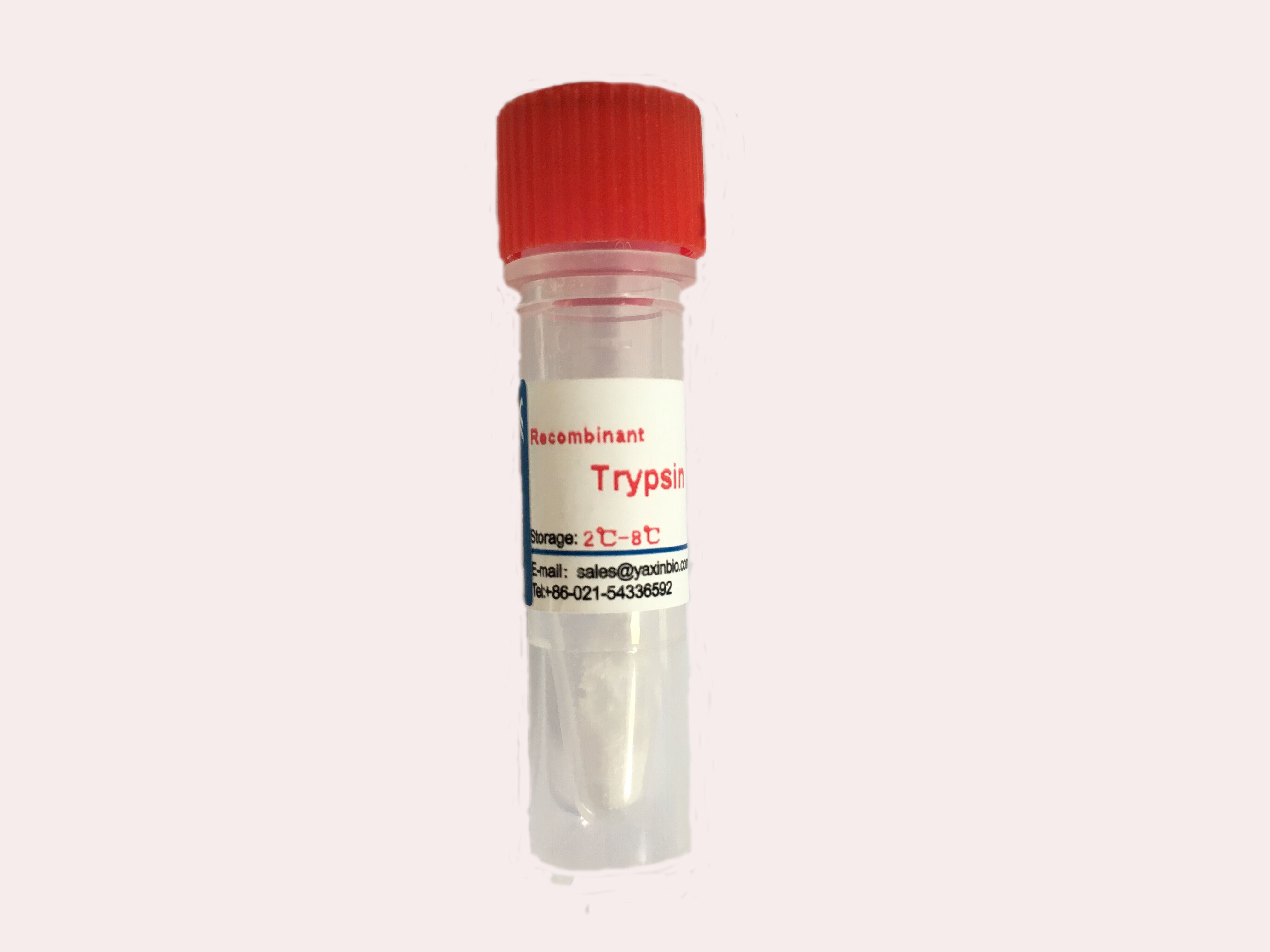 Quality Colorless High Activity Recombinant Trypsin CAS No.9002-07-7 for sale