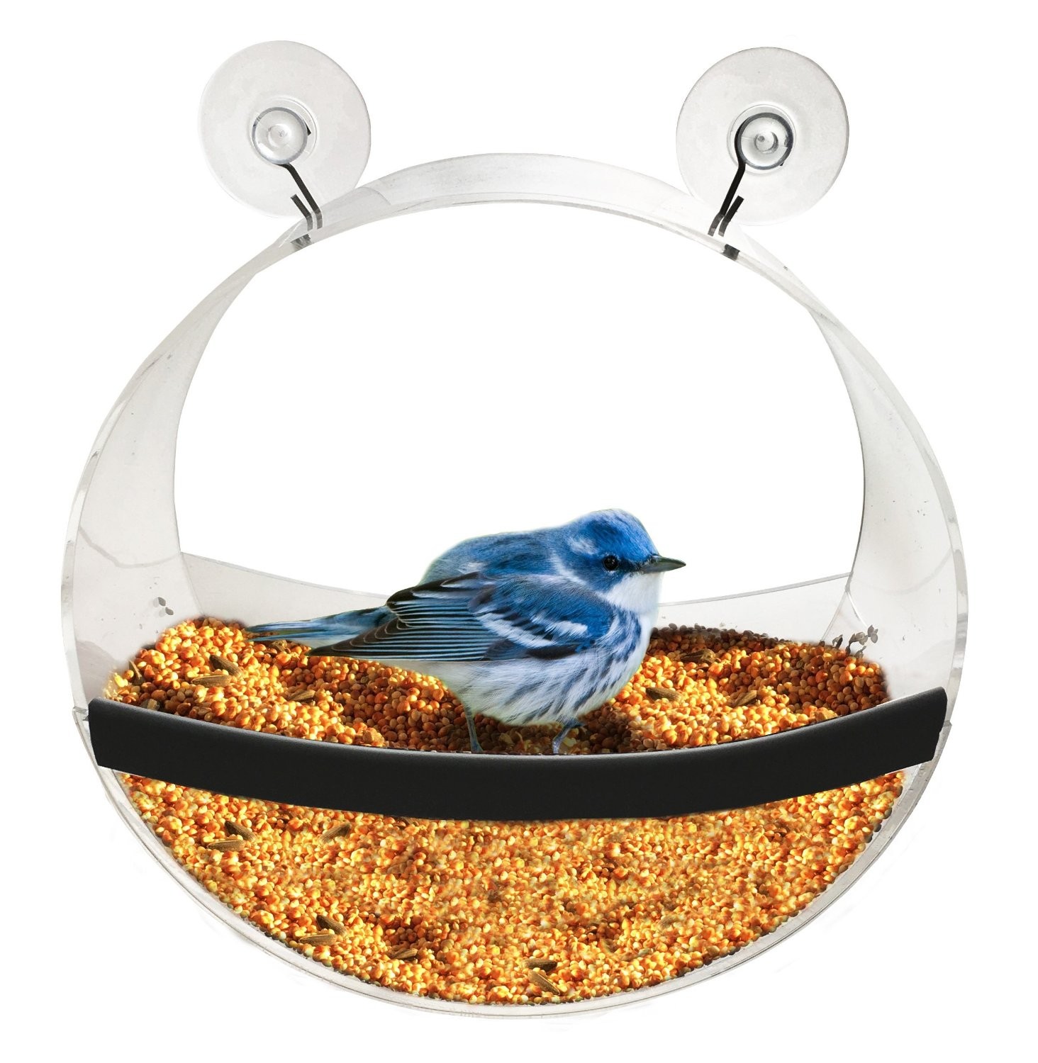 Quality Custom clear acrylic wild bird feeders with super strong suction cup for sale