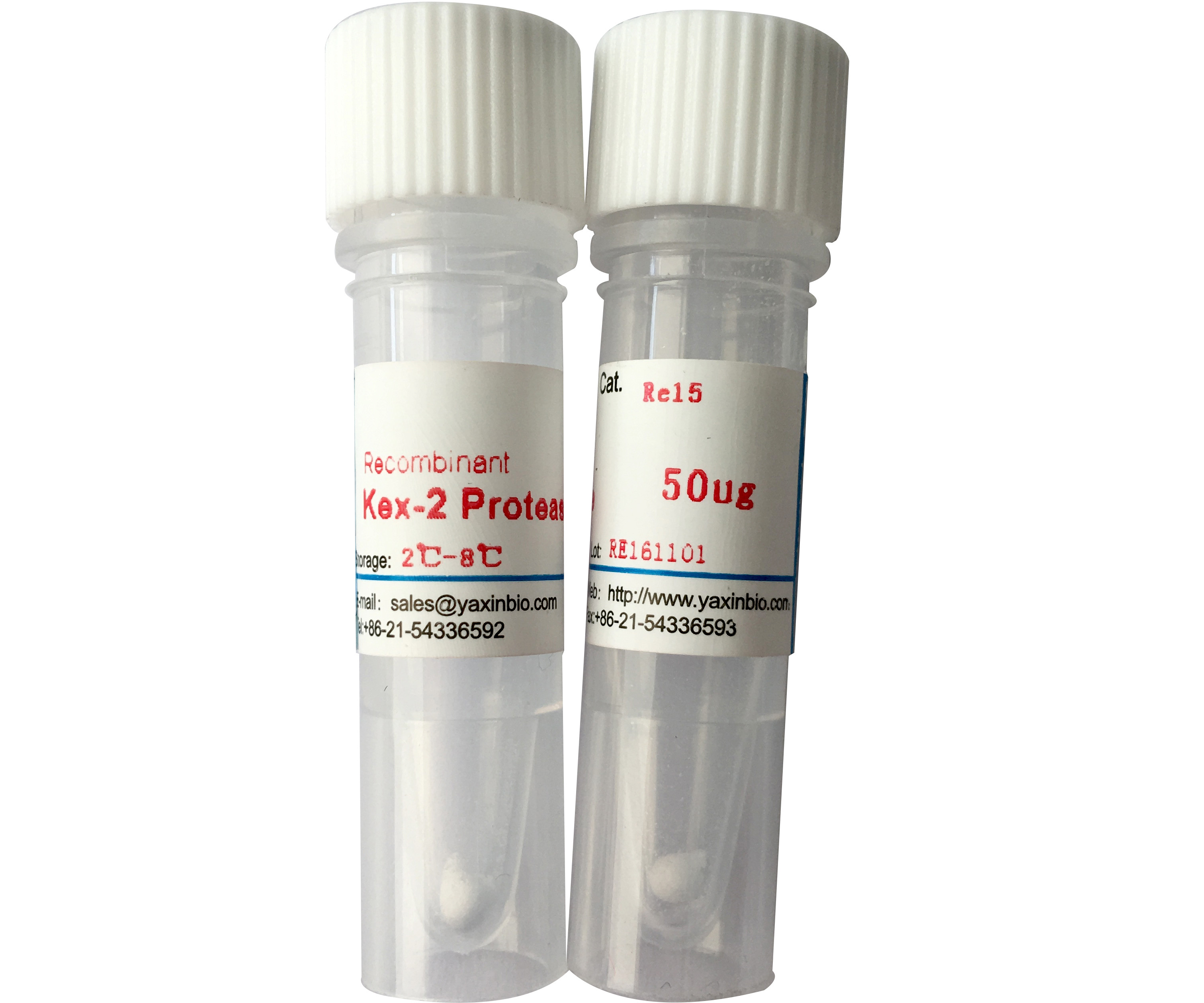 Quality High Purity, Kex2 Protease, Genetically Engineered Protein, Expressed in Pichia Pastoris for sale