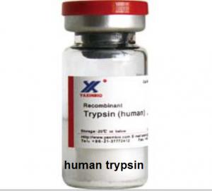 Quality No Virus Contaminant, Human Trypsin, 2500 USP/mg, Cleave Lysine and Arginine for sale