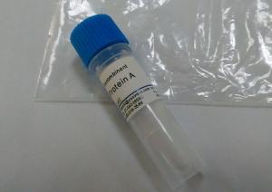 Quality Recombinant Protein A, Supplier, RSPA05, CAS 91932-65-9, Alkaline Stable, Protein A for sale