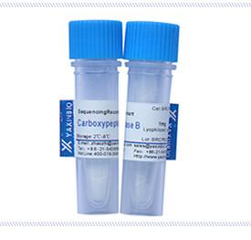 Quality recombinant carboxypeptidase B with sequencing grade acting on insulin production for sale
