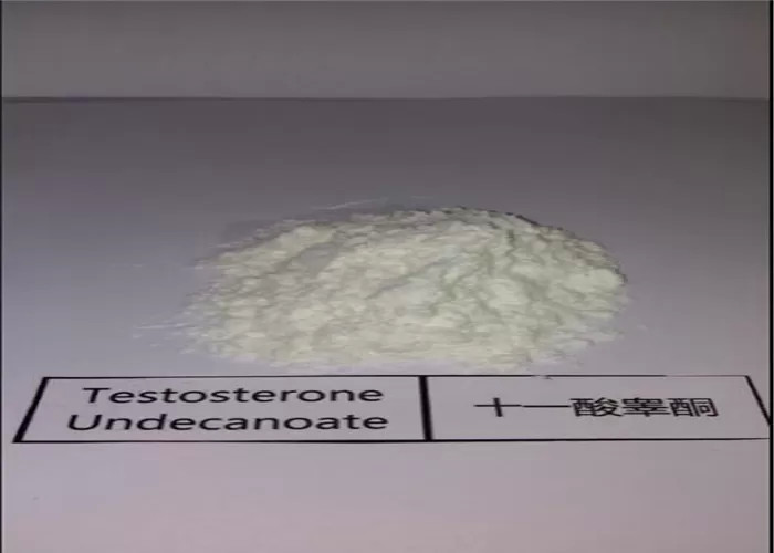 Quality CAS 5949-44-0 Testosterone Undecanoate Raw Steroid White Powder Testosterone Undeca For Body Building for sale