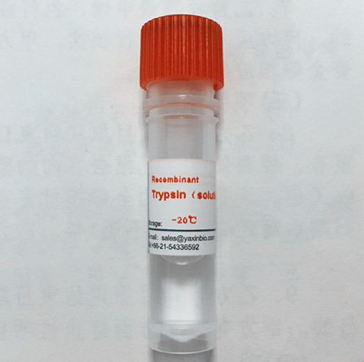 Quality 3800 U/Mg Pro 10mg Recombinant Trypsin For Insulin Production for sale