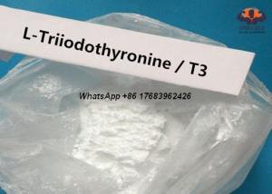 Quality T3 Liothyronine Sodium CAS 55-06-1 Organic Fat Loss Steroids Powder For Weight Loss for sale