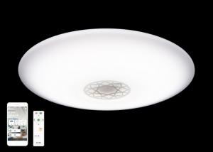 Quality Versatile Warm White Ceiling Lights , Color Temperature Adjustable Smart Ceiling Light for sale