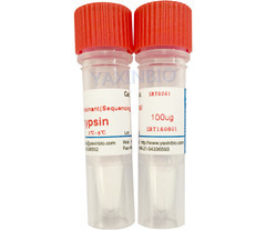 Quality Sequencing Grade Modified Trypsin, For Protein Identification for sale