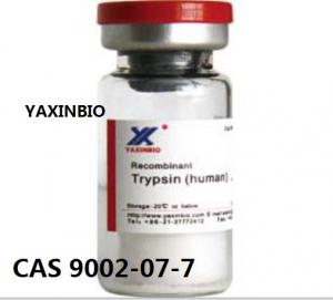 Quality Cell Dissociation Solution, Recombinant Human Trypsin for Enzymatic Hydrolysis of Protein for sale