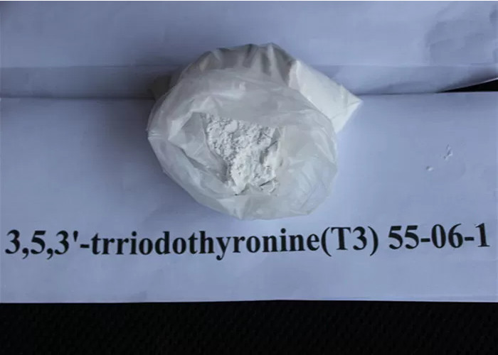 Quality Steroid Poweder Liothyronine Sodium / T3 Weight Loss Bodybuilding Steroid for sale