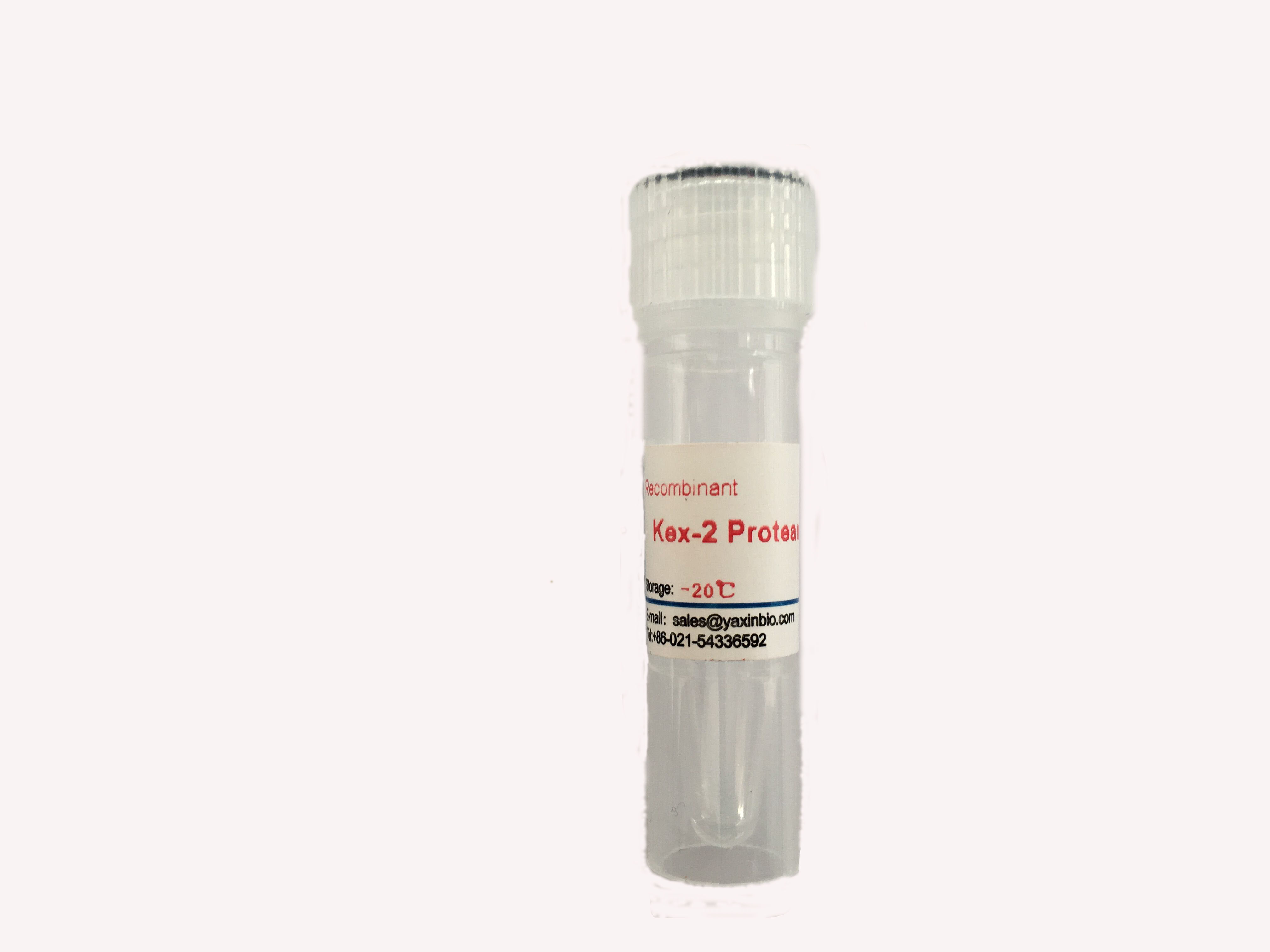 Quality Recombinant Kex2 Serine Protease Expressed in Pichia pastoris Purified By HPLC for sale