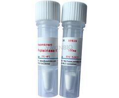 Quality Recombinant Proteinase K, Endopeptidase K, Serine Protease for sale