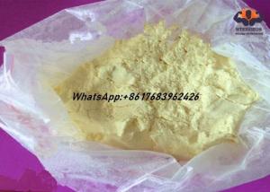 Quality Top Quality Pharmaceutical Raw Materials Isotrex / Isotretinoin 4759-48-2 For Cystic Acne Treatment for sale