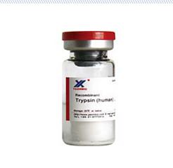 Quality Recombinant Porcine Trypsin Aanimal origin free，Stable quality，Compliance with regulatory requirements for sale