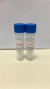 Quality ISO Recombinant Carboxypeptidase B Solution Under -20℃ And Repeated Freezing-Thawing , Specific Activity ≥170 u for sale