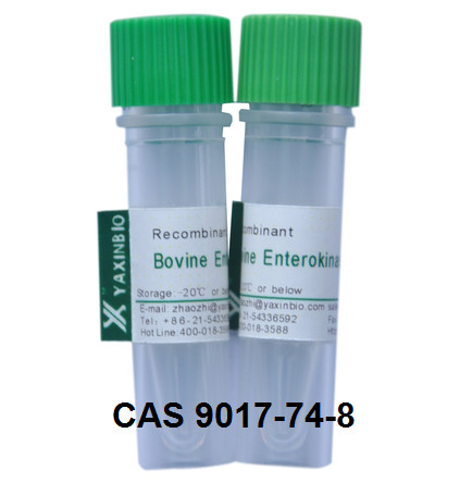 Quality Recombinant Enterokinas, CAS 9017-74-8, Enzyme, Enterokinase for sale