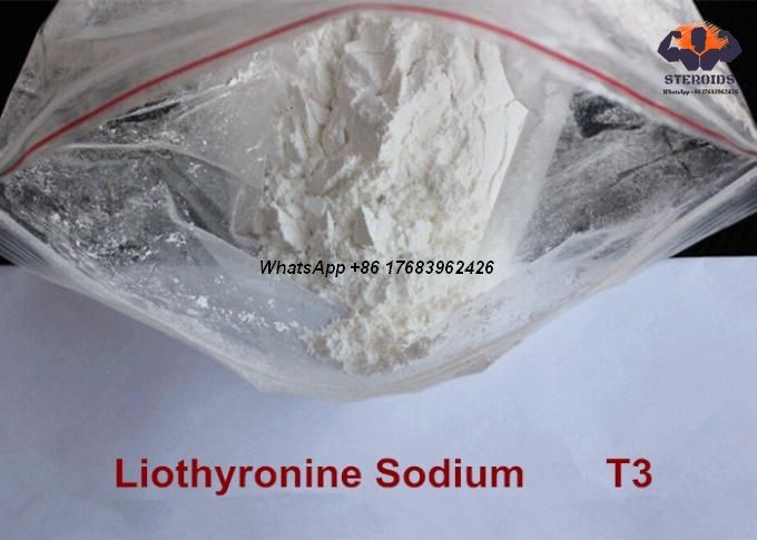 Quality L-Triiodothyronine T3 Organic Herbal Weight Loss Steroid Powders CAS 55 06 1 for sale