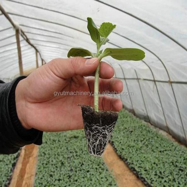 1140*850*1050mm Size Agriculture Microgreens Seeder Machine for Tomato Seed Planting