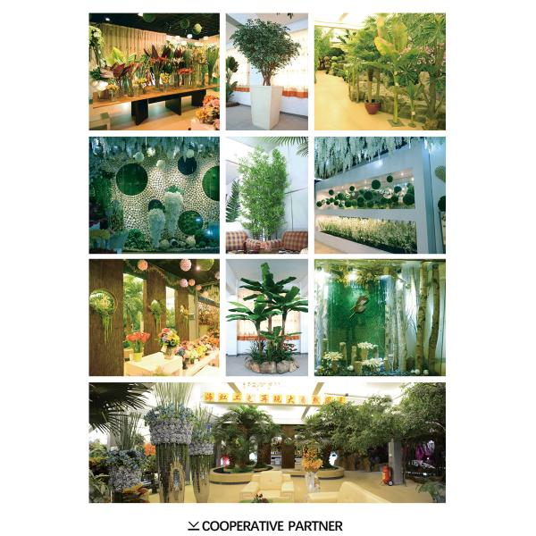 Potted Plant Evergreen Artificial Fortune Tree 30-60cm Natural Leaves For Bedroom Decor