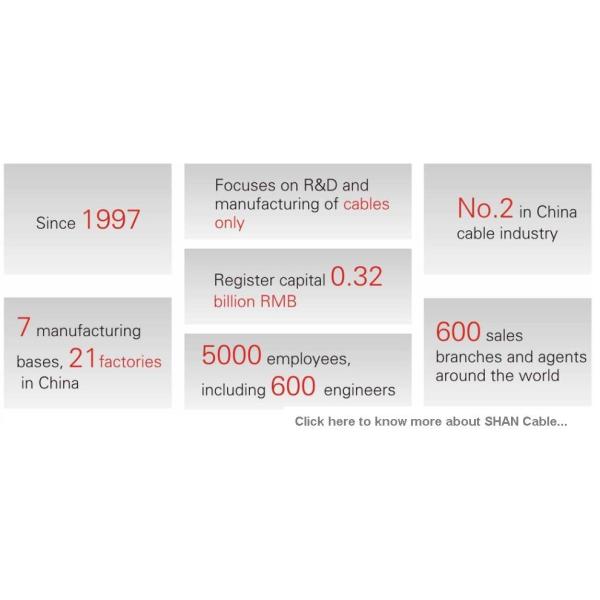 Shanghai Shenghua Group Cable CU / Mica Tape Fire Resistant Cable For Sprinkler / Smoke Control System