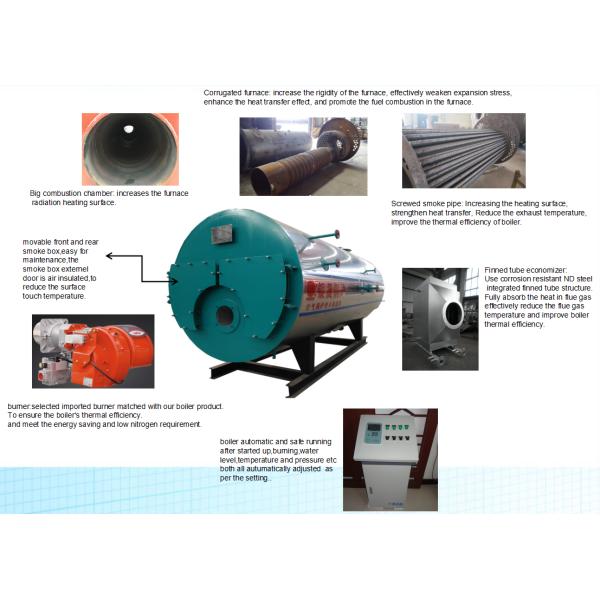 Fire Tube Industrial Steam Boilers Energy Saving High Efficiency Oil Boiler