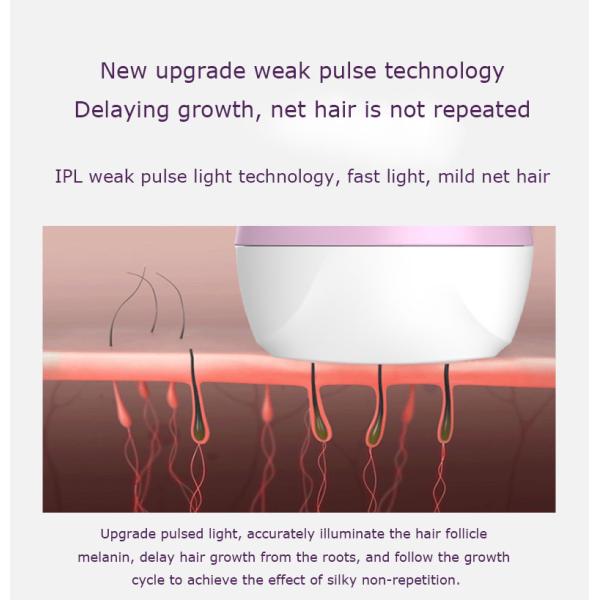 Professional IPL Hair Removal Machine 500000 Flash Pulsed 5 Speed Adjustable