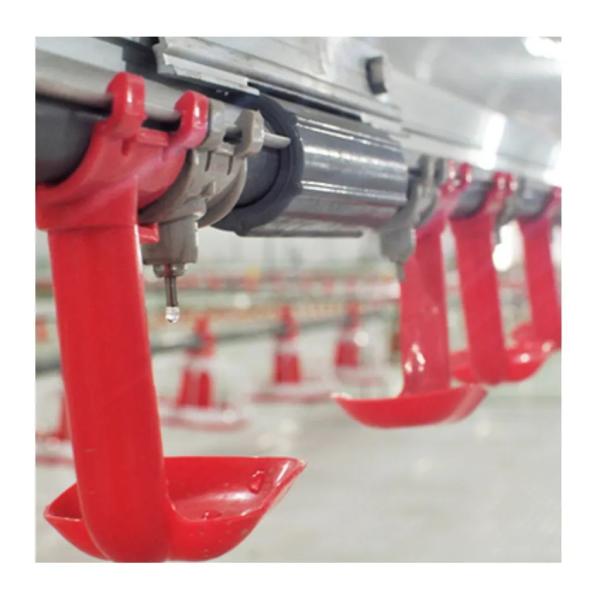 Chicken Coop Automatic Poultry Farm Equipment With Ventilation System