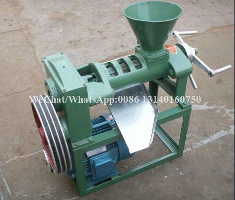 80-125kg/H Nuts Processing Machine Shea Automatic Oil Extraction Machine