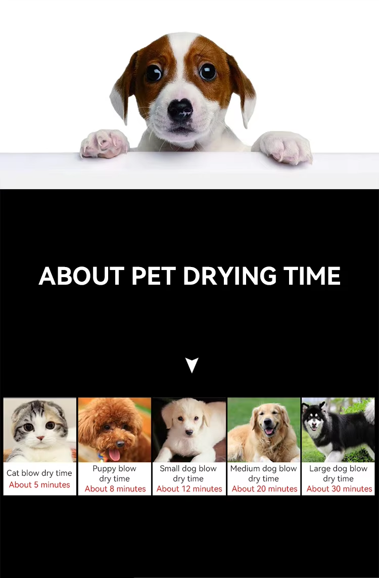 Professional 110V/220V Dog Blow Dryer with Adjustable Temperature and 4 Nozzles for Pet Hair Care