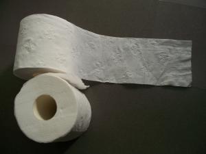 Toilet Tissue roll