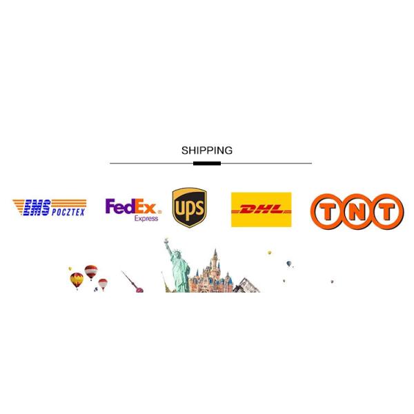 Reliable 2.5kW-5kW AC motor for Electric Sightseeing Vehicle