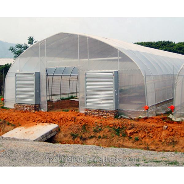 Single Span Greenhouse Simple Frame Poly Tunnel Film Greenhouse For Agricultural