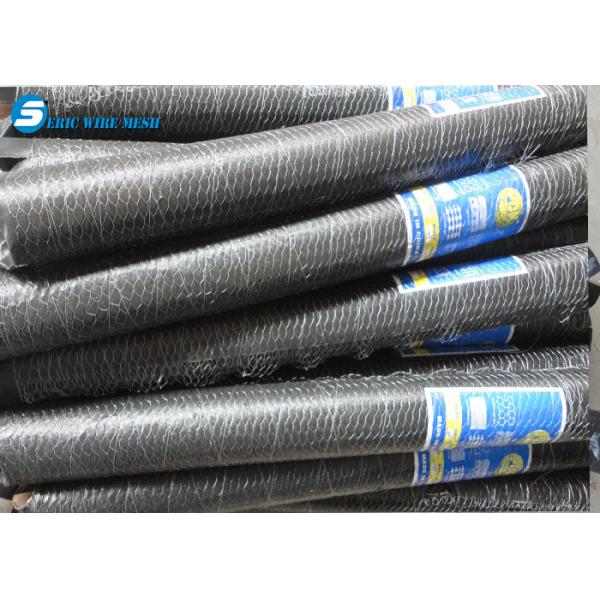 Low price low price electro fishing hexagonal wire mesh