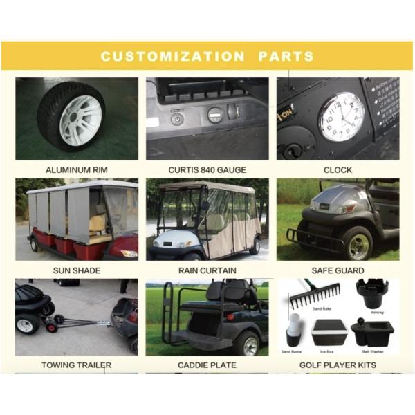 Mini Electric Vehicle 2 Seater Lifted Buggy Golf Carts Lead Acid Lithium Battery Powered