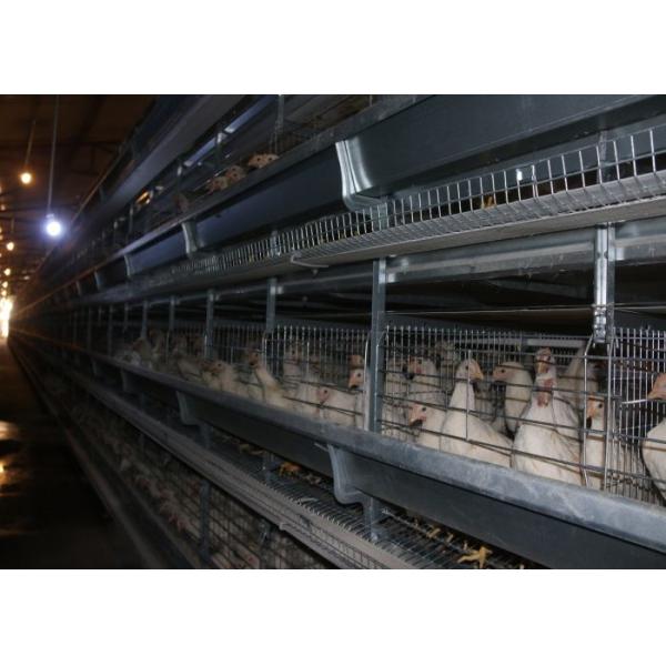 High Rearing Efficiency Industrial Chicken Coop Poultry Farm Cage ISO9001 Approved