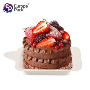 Eco friendly biodegradable tableware cheap disposable square cake dishes plates